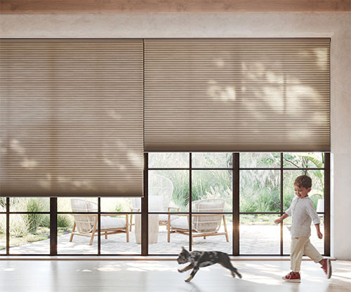 Applause Honeycomb Shades