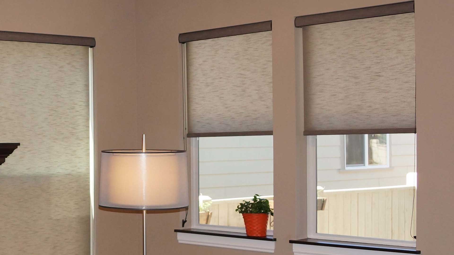 Designer solids coordinated roller shade