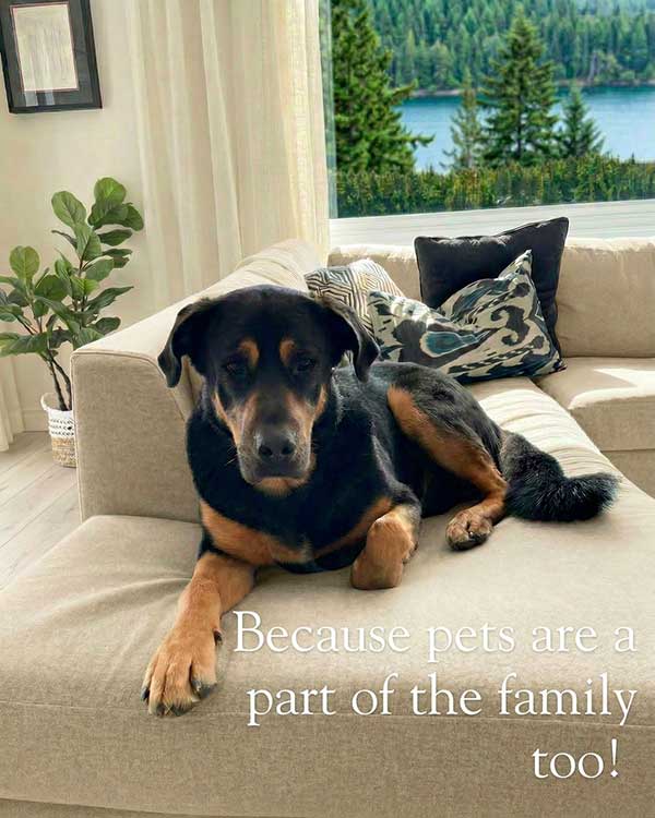 JF Fabrics Pet Friendly