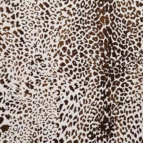 Trivantage — Instinct Espresso