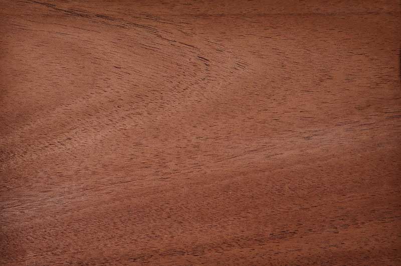 African Mahogany II