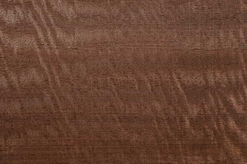 Sapele