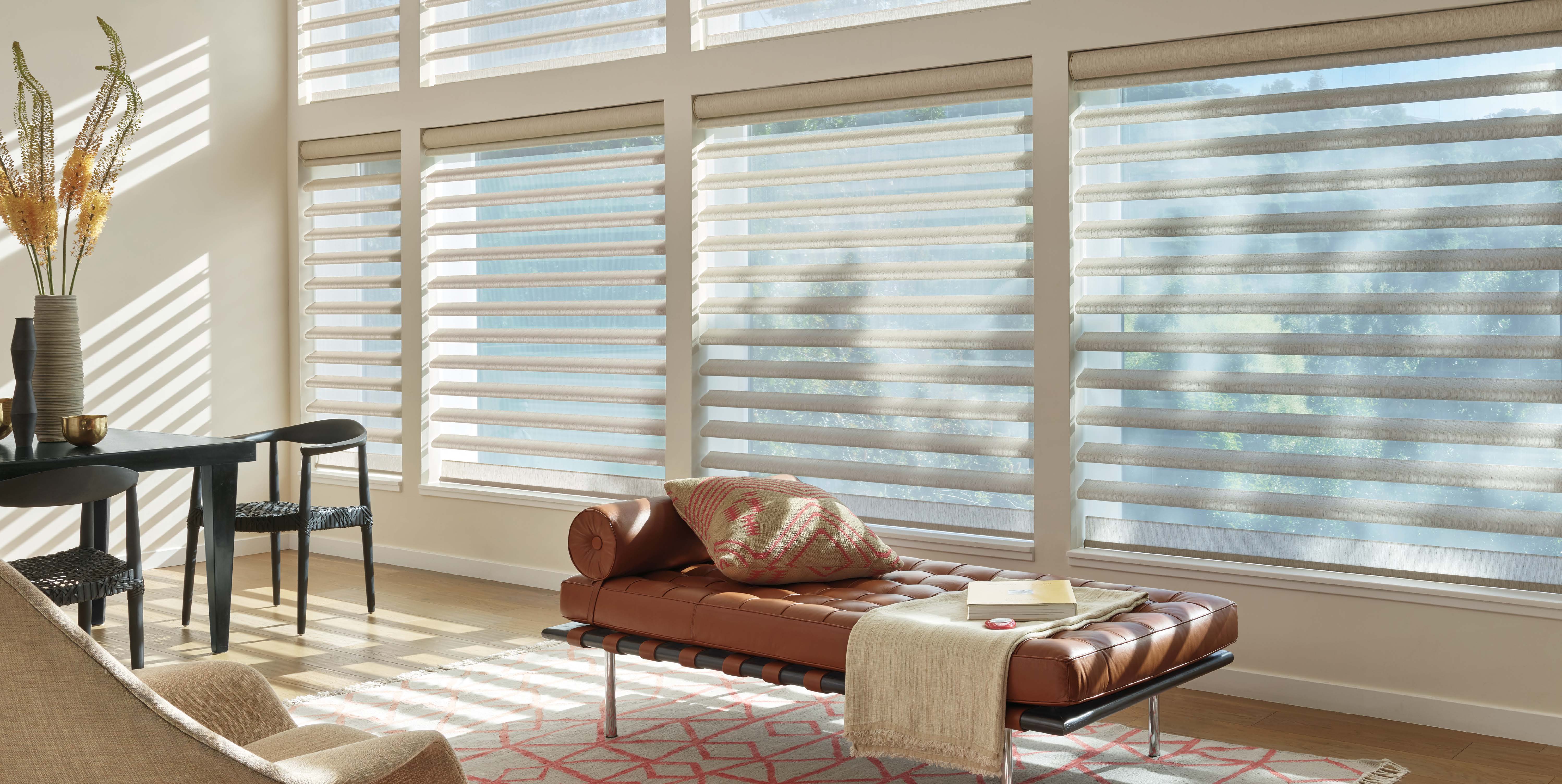 Hunter Douglas Pirouette — rotating fabric vanes on a sheer backing