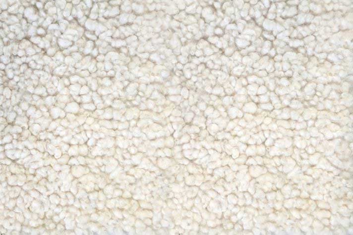 Dolly Wild White