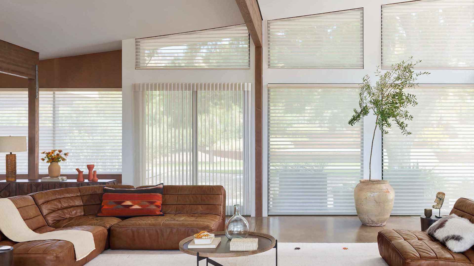 Hunter Douglas Silhouette Window Shadings